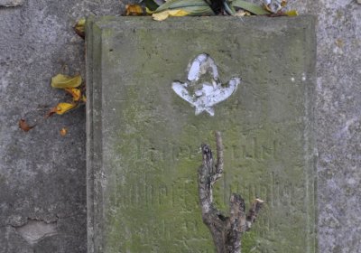 Přečaply, Omnium, 2020