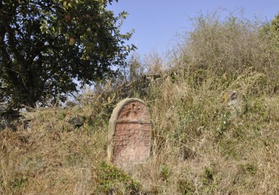 Sedláček Hugo, 2016