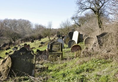 Sedláček Hugo, 2016