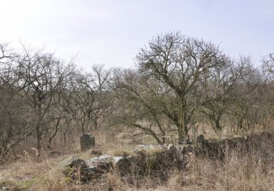 Sedláček Hugo, 2012