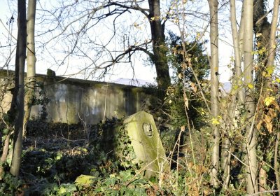 Sedláček Hugo, 2016