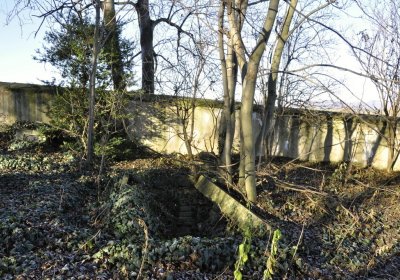 Sedláček Hugo, 2016