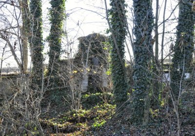 Sedláček Hugo, 2016