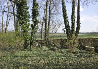 Sedláček Hugo, 2015