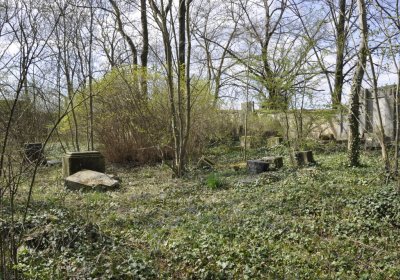 Sedláček Hugo, 2015