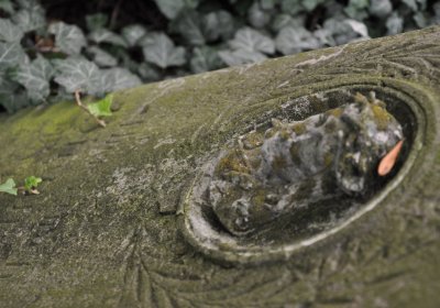 Podlesice, Omnium, 2020