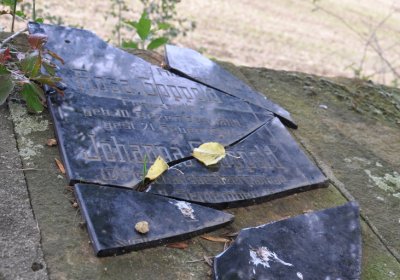 Podlesice, Omnium, 2020