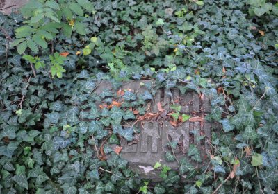 Podlesice, Omnium, 2020