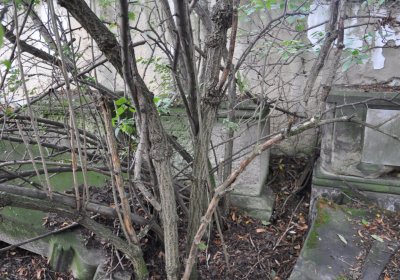 Podlesice, Omnium, 2020