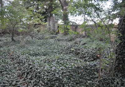 Podlesice, Omnium, 2020