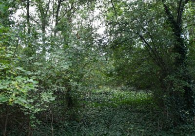 Podlesice, Omnium, 2020