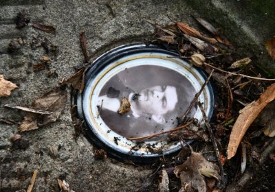 Podlesice, Omnium, 2020