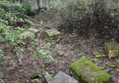 Podlesice, Omnium, 2020