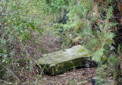 Podlesice, Omnium, 2020