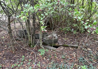 Podlesice, Omnium, 2020