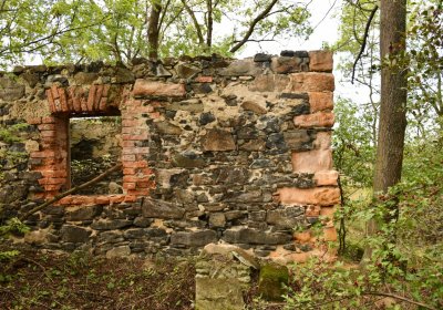 Podlesice, Omnium, 2020