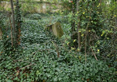 Podlesice, Omnium, 2020