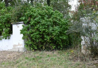 Podlesice, Omnium, 2020