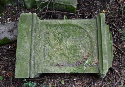 Podlesice, Omnium, 2020