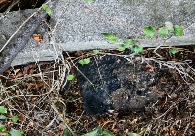 Podlesice, Omnium, 2020