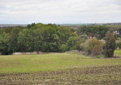 Podlesice, Omnium, 2020