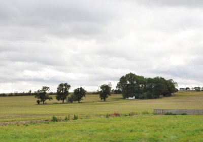 Podlesice, Omnium, 2020