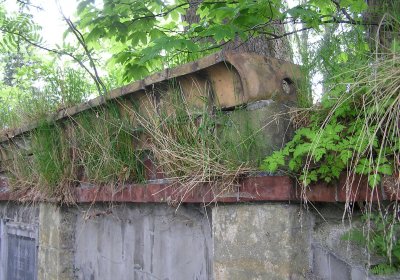 Pulkrtová Eva, 2009