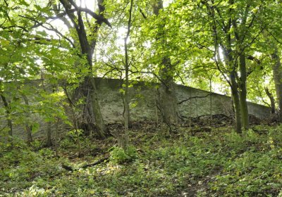 Sedláček Hugo, 2010