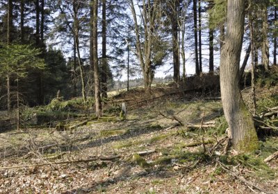 Sedláček Hugo, 2014