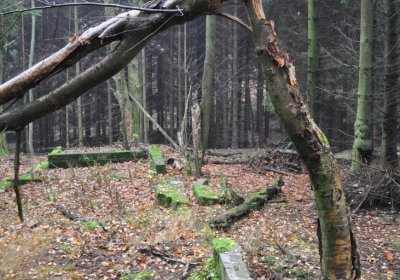 Menhartice, Omnium, 2020