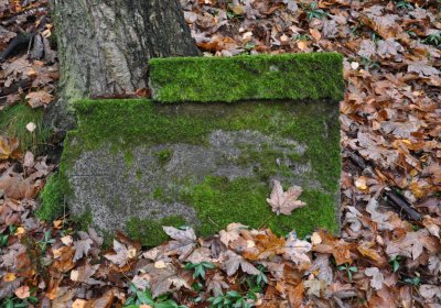 Menhartice, Omnium, 2020