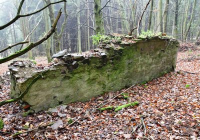 Menhartice, Omnium, 2020