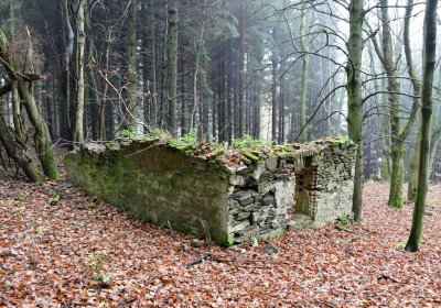 Menhartice, Omnium, 2020