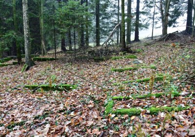 Menhartice, Omnium, 2020