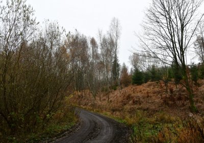 Menhartice, Omnium, 2020