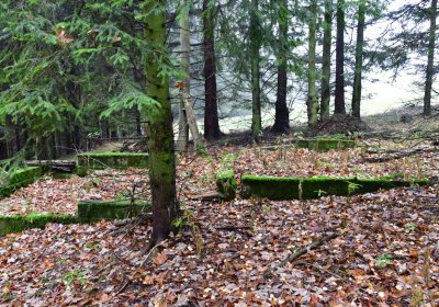 Menhartice, Omnium, 2020