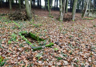 Menhartice, Omnium, 2020