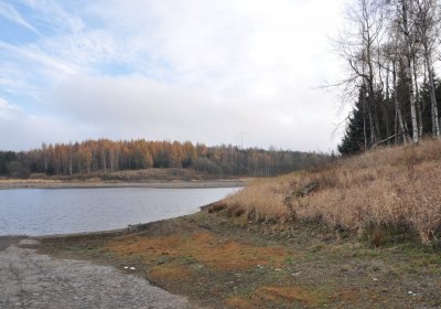 Přísečnice, Omnium, 2020