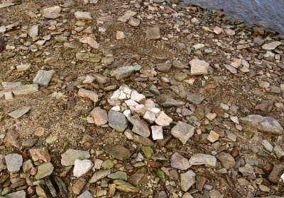 Přísečnice, Omnium, 2020