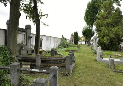 Sedláček Hugo, 2016