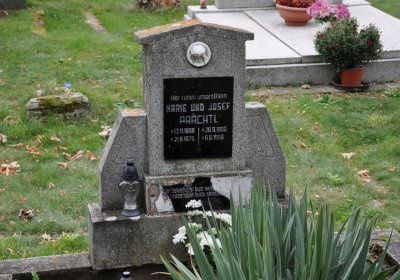 Pětipsy, Omnium, 2020