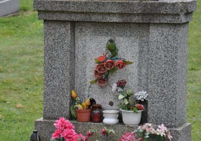 Pětipsy, Omnium, 2020