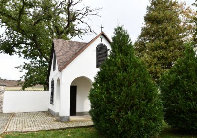 Pětipsy, Omnium, 2020