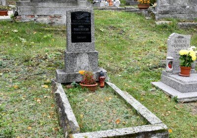 Březenec, Omnium, 2020