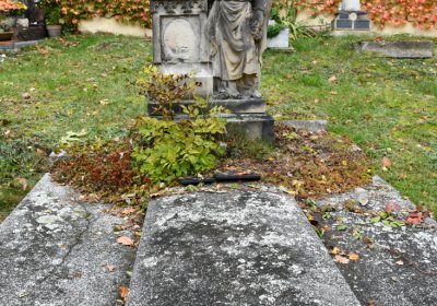 Březenec, Omnium, 2020