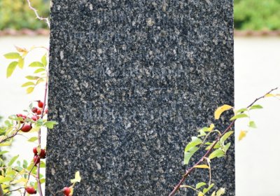 Březenec, Omnium, 2020