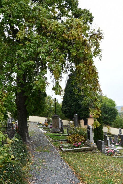Březenec