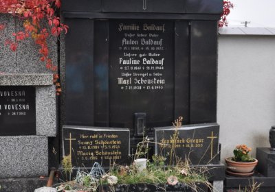 Jirkov, Omnium, 2020