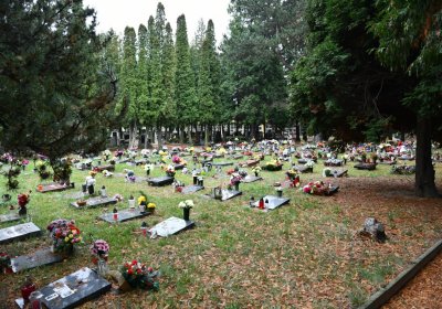 Jirkov, Omnium, 2020