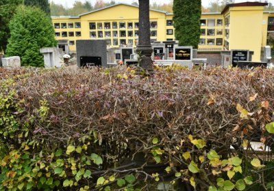 Jirkov, Omnium, 2020